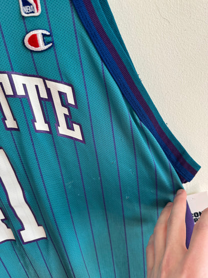 90s Charlotte Hornets Glen Rice Pinstripe NBA Champion Jersey (XL)