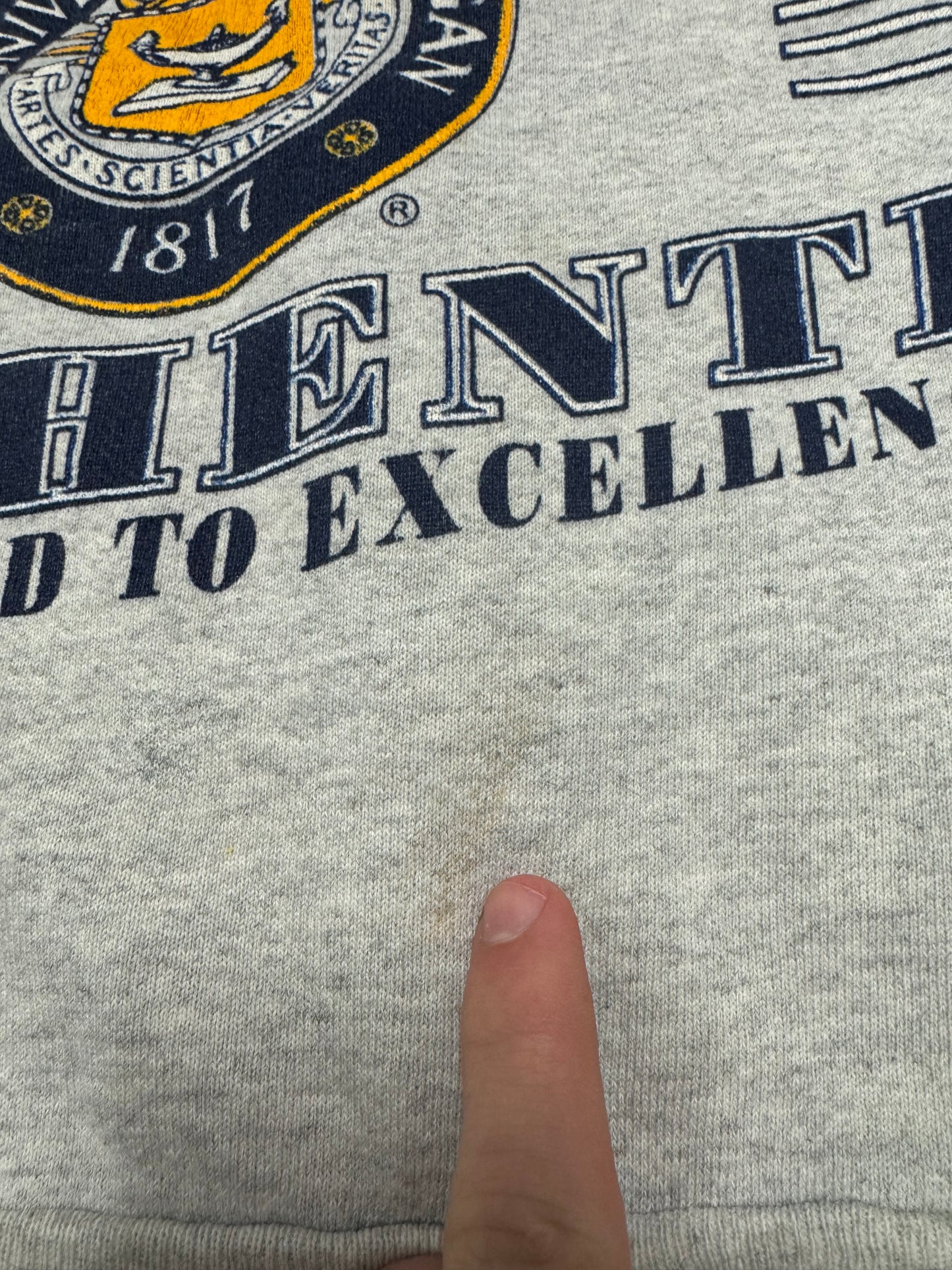 90s Michigan University Wolverines Sleeve To Sleeve Big Print Vintage Crewneck (L)