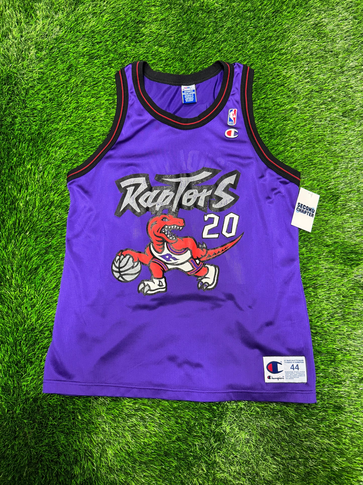 90s Toronto Raptors Vintage Damon Stoudamire Champion Purple Dinosaur NBA Jersey (L)