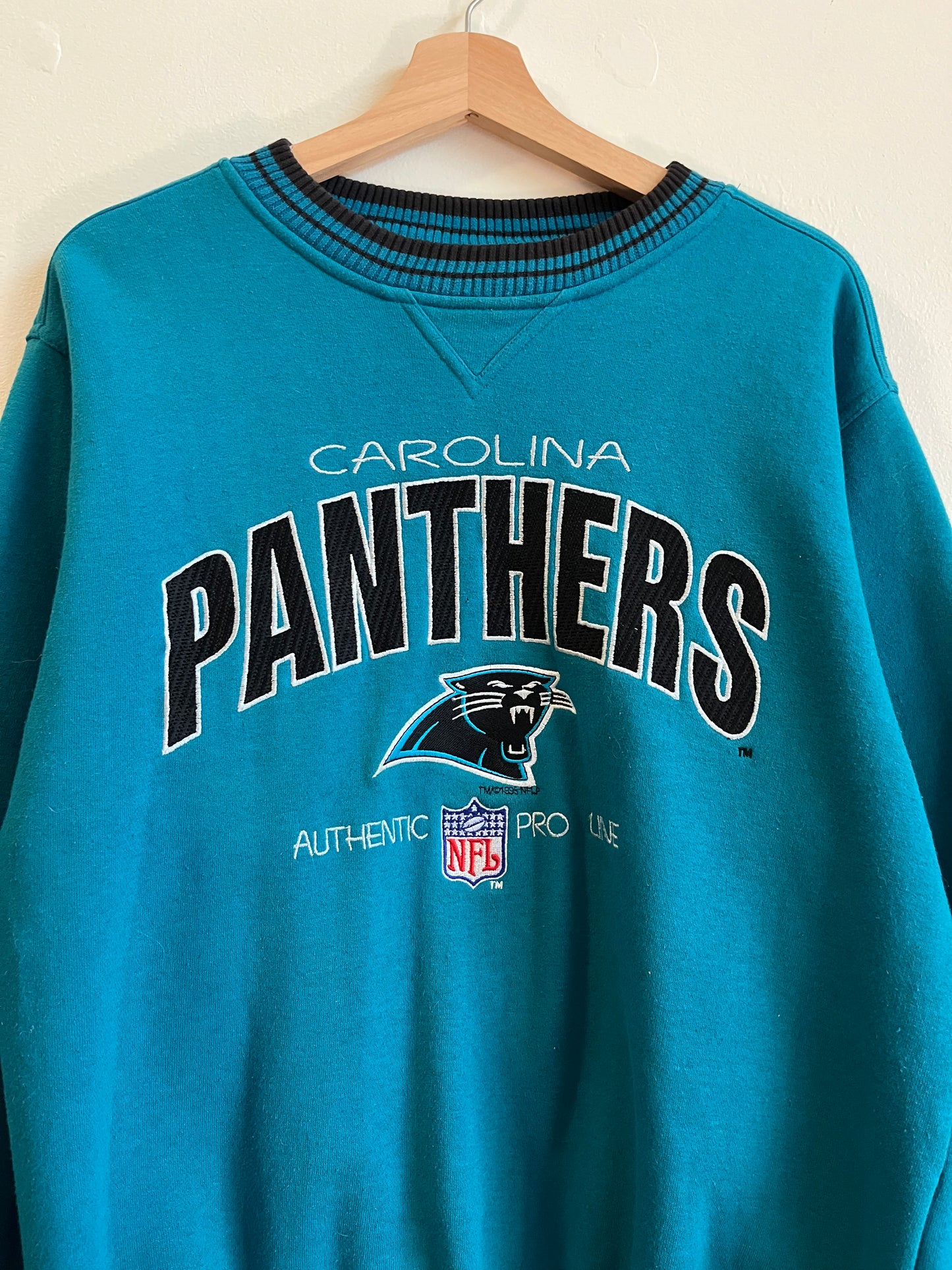 1995 Carolina Panthers Logo Athletic Faded Blue Crewneck (L)