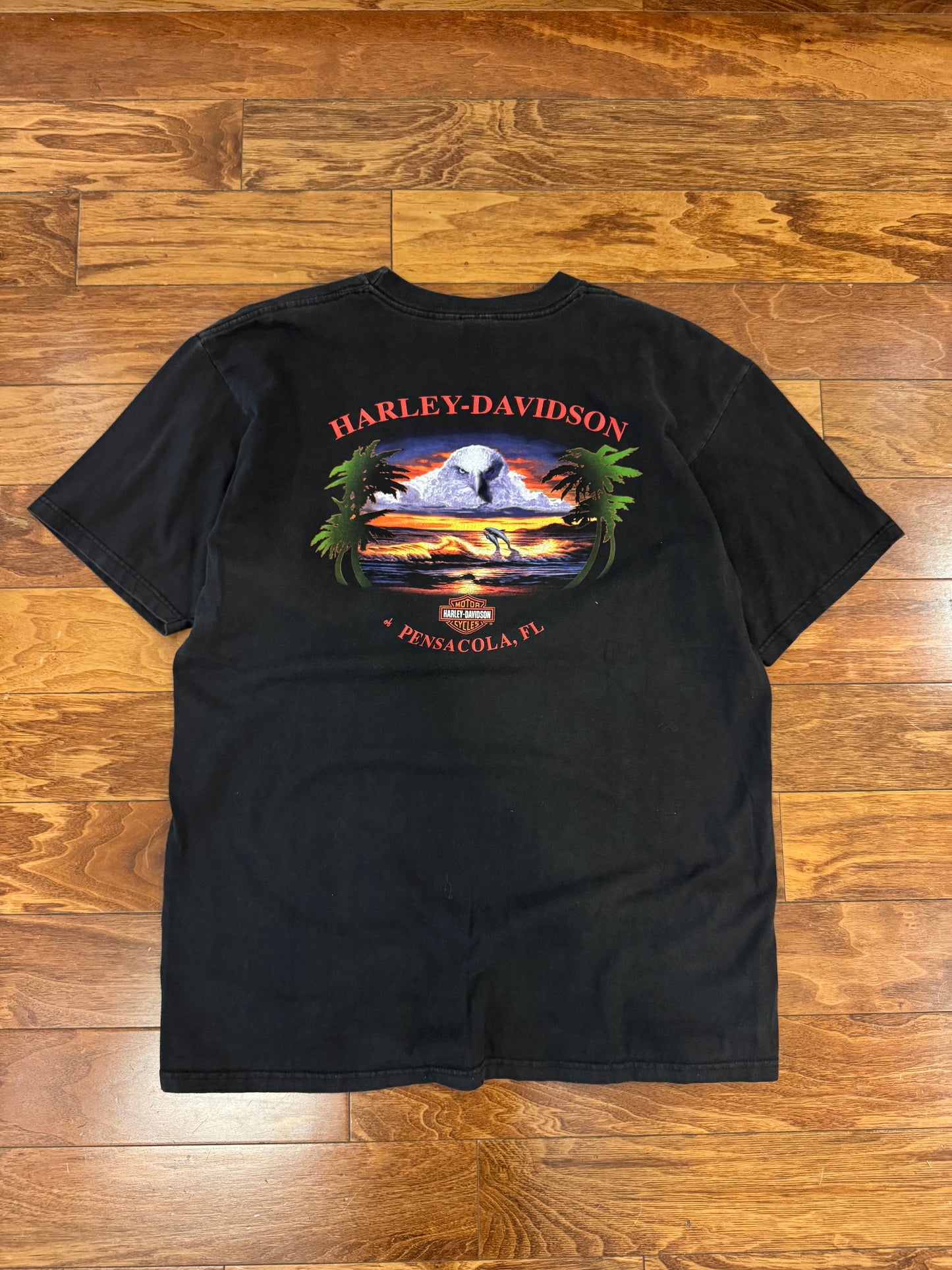 2002 Harley Davidson Pensacola, FL Vintage Tee (XL)