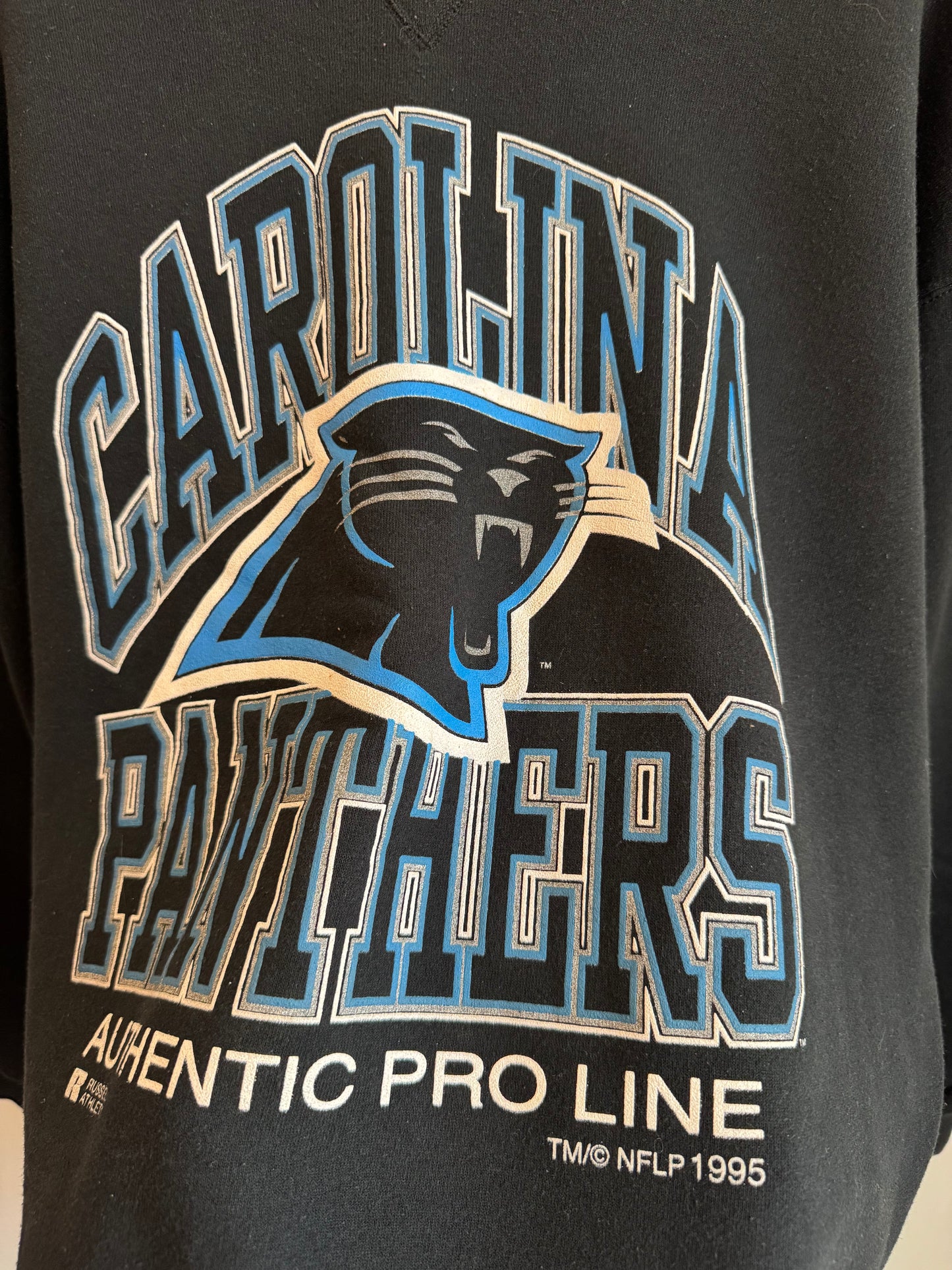 1995 Carolina Panthers Vintage Pro Line Russell Crewneck (XL)