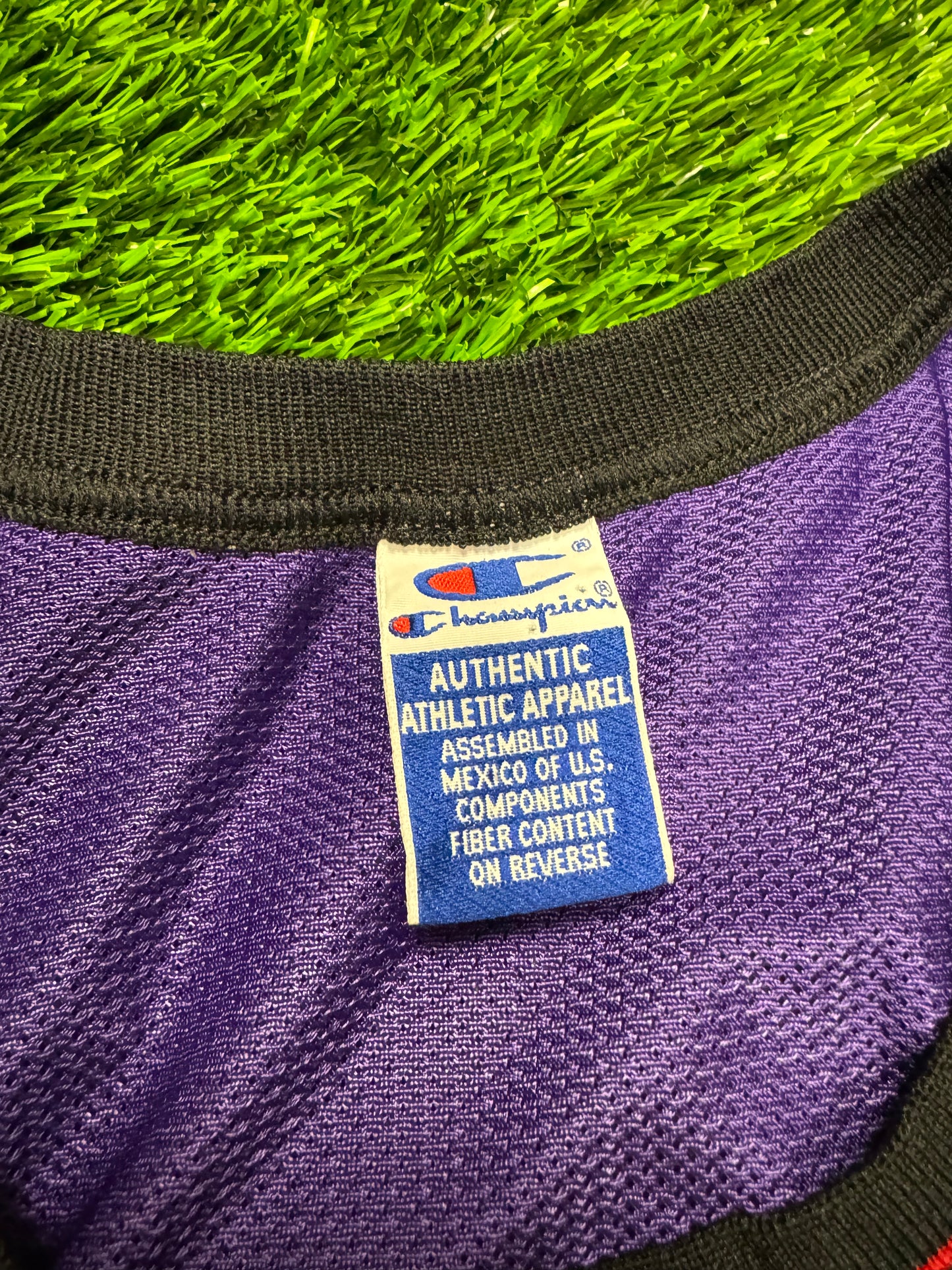90s Toronto Raptors Vintage Damon Stoudamire Champion Purple Dinosaur NBA Jersey (L)
