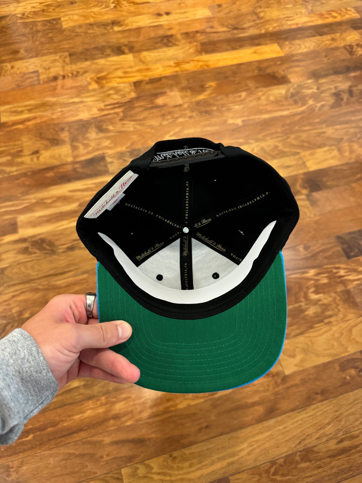 Carolina Panthers Mitchell & Ness Logo Two-Toned Hat (OS)