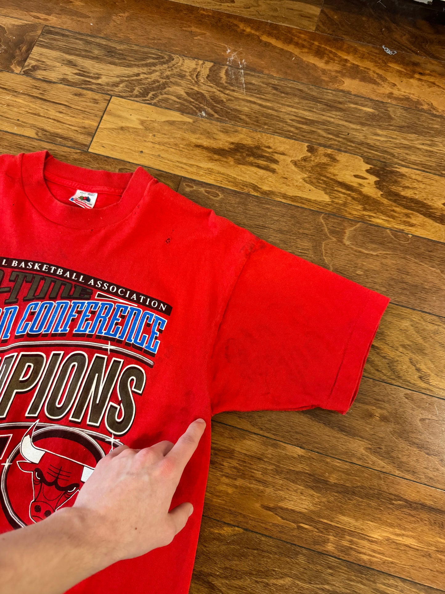 1993 Chicago Bulls 3x Champs Vintage Tee (L)