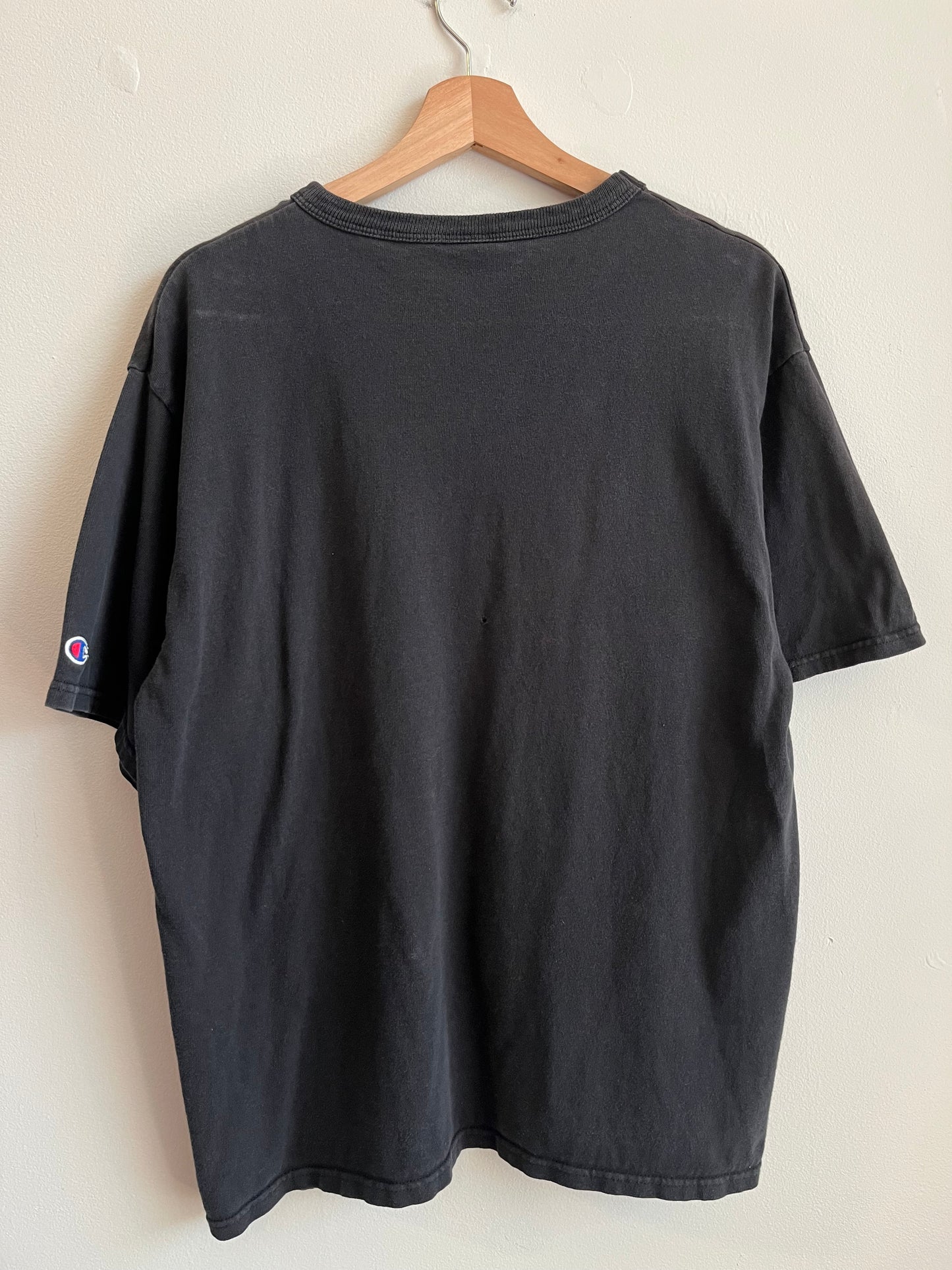1994 Carolina Panthers Champion Spell Out Tee (L)