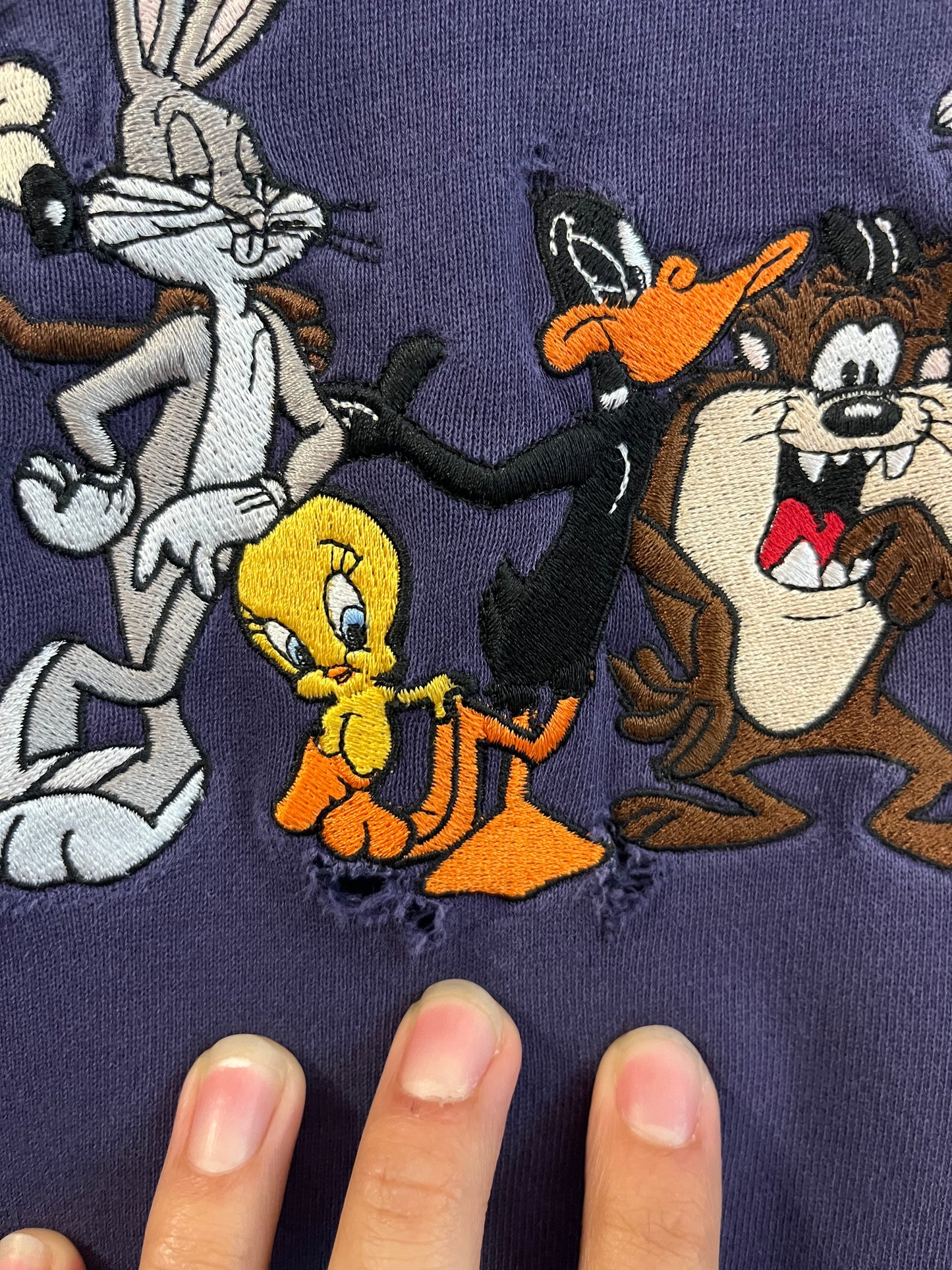 1995 Looney Tunes Embroidered Crewneck (L)