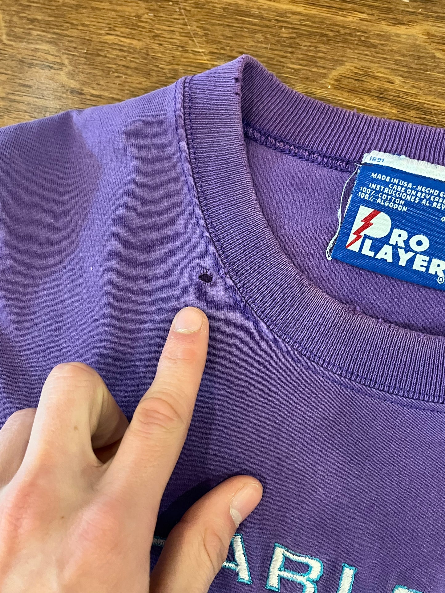 90s Charlotte Hornets Purple Pro Player Tee (L)
