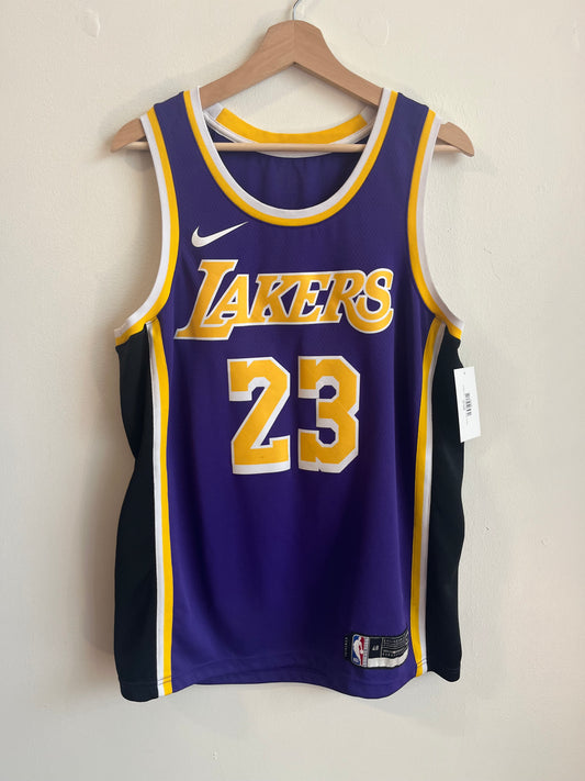 2019 Lebron James LA Lakers Nike NBA Jersey (L)