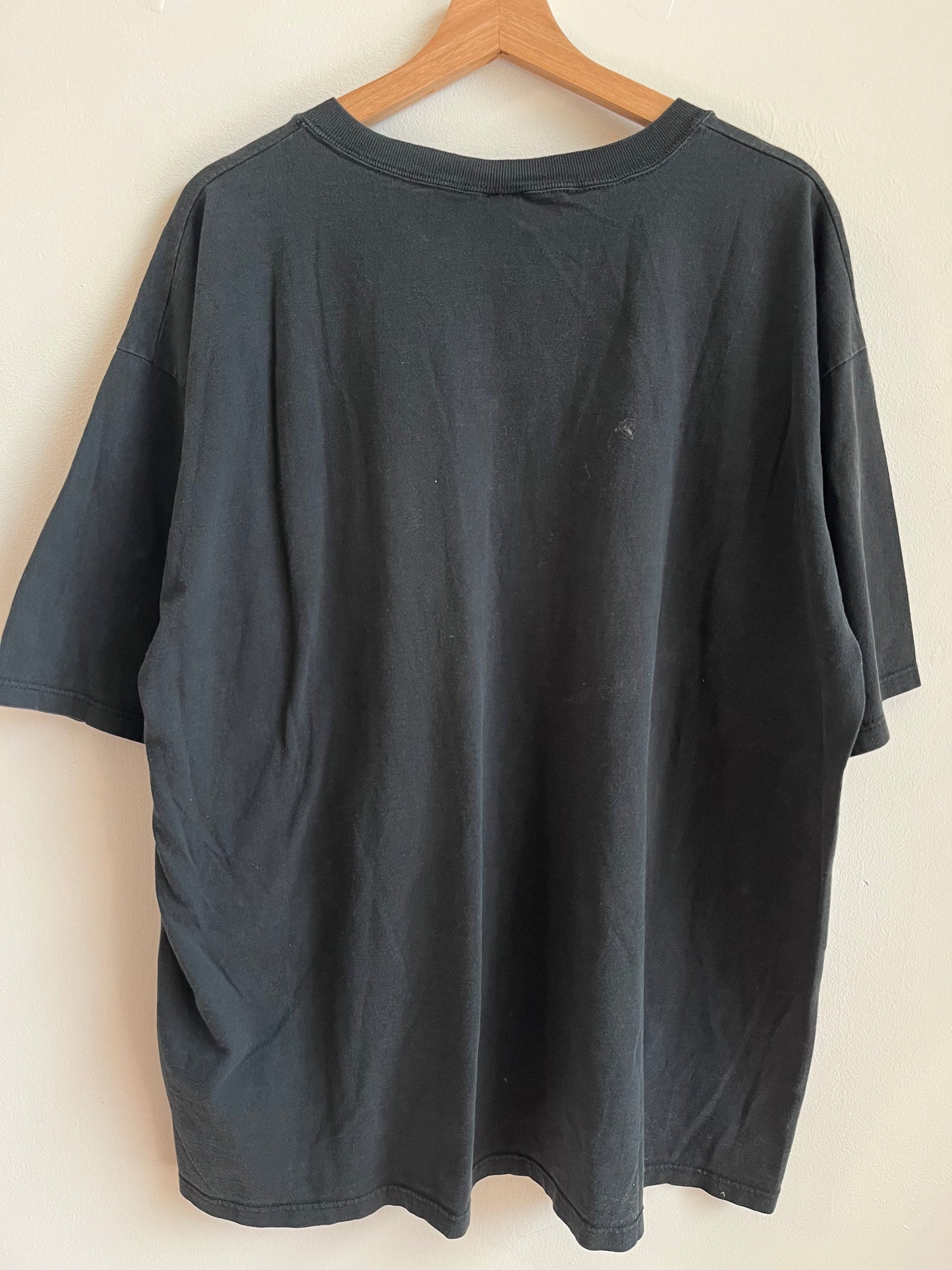1995 Carolina Panthers Russell Athletics Spell Out Pro Line Tee (XXL)