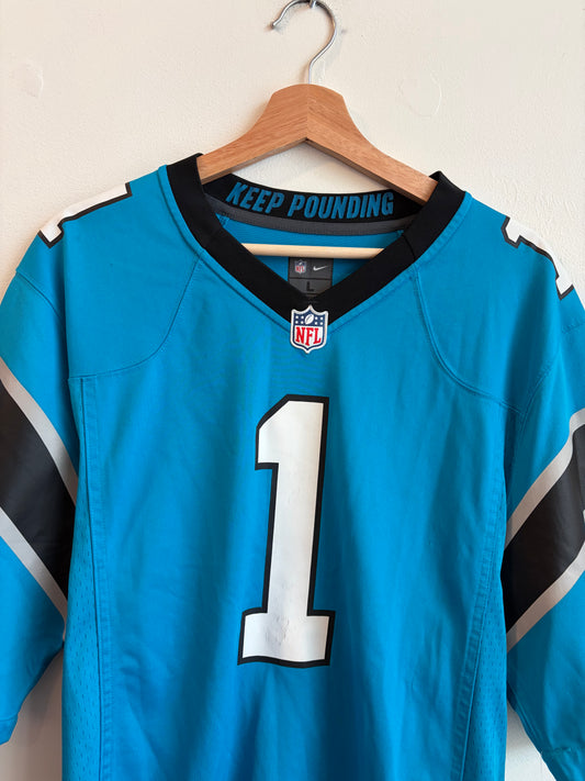 2010s Carolina Panthers Cam Newton Nike Blue Jersey (L)