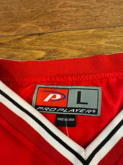 00s Georgia Bulldogs Embroidered Pro Player Windbreaker (XL)