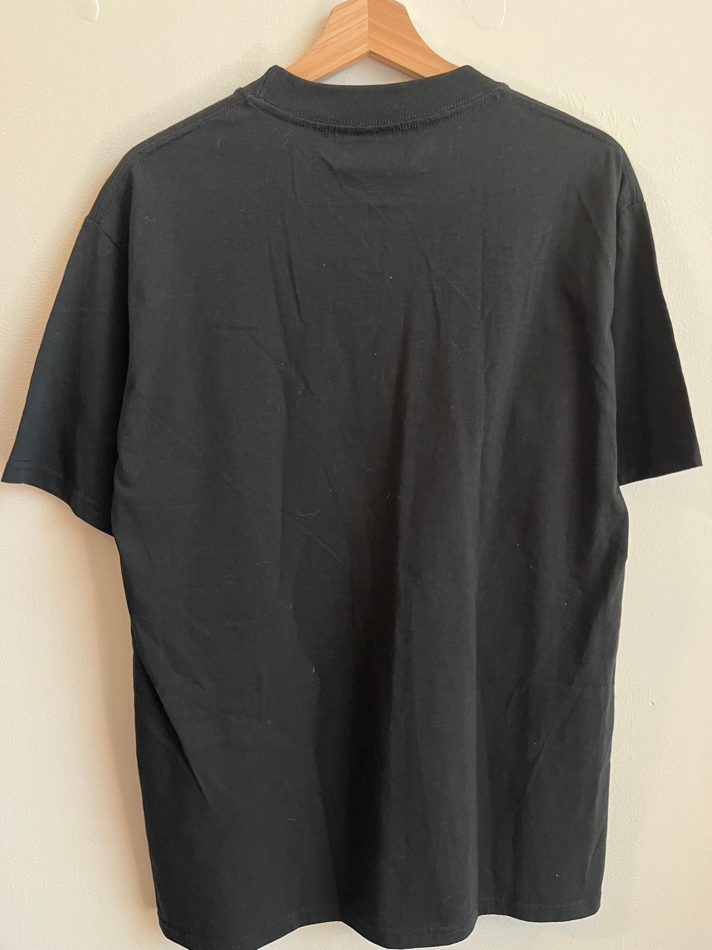 2001 Green Bay Packers Helmet Graphic Tee (L)