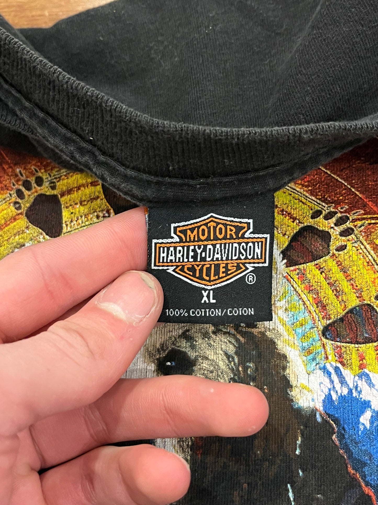 00s Harley Davidson Vintage Nature Atlanta Tee (XL)