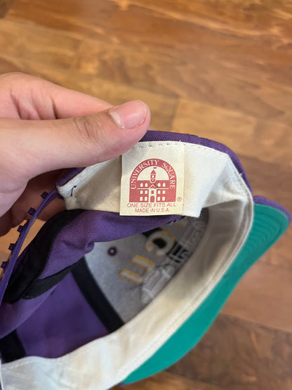 90s Western Carolina University (WCU) Football Hat (OS)