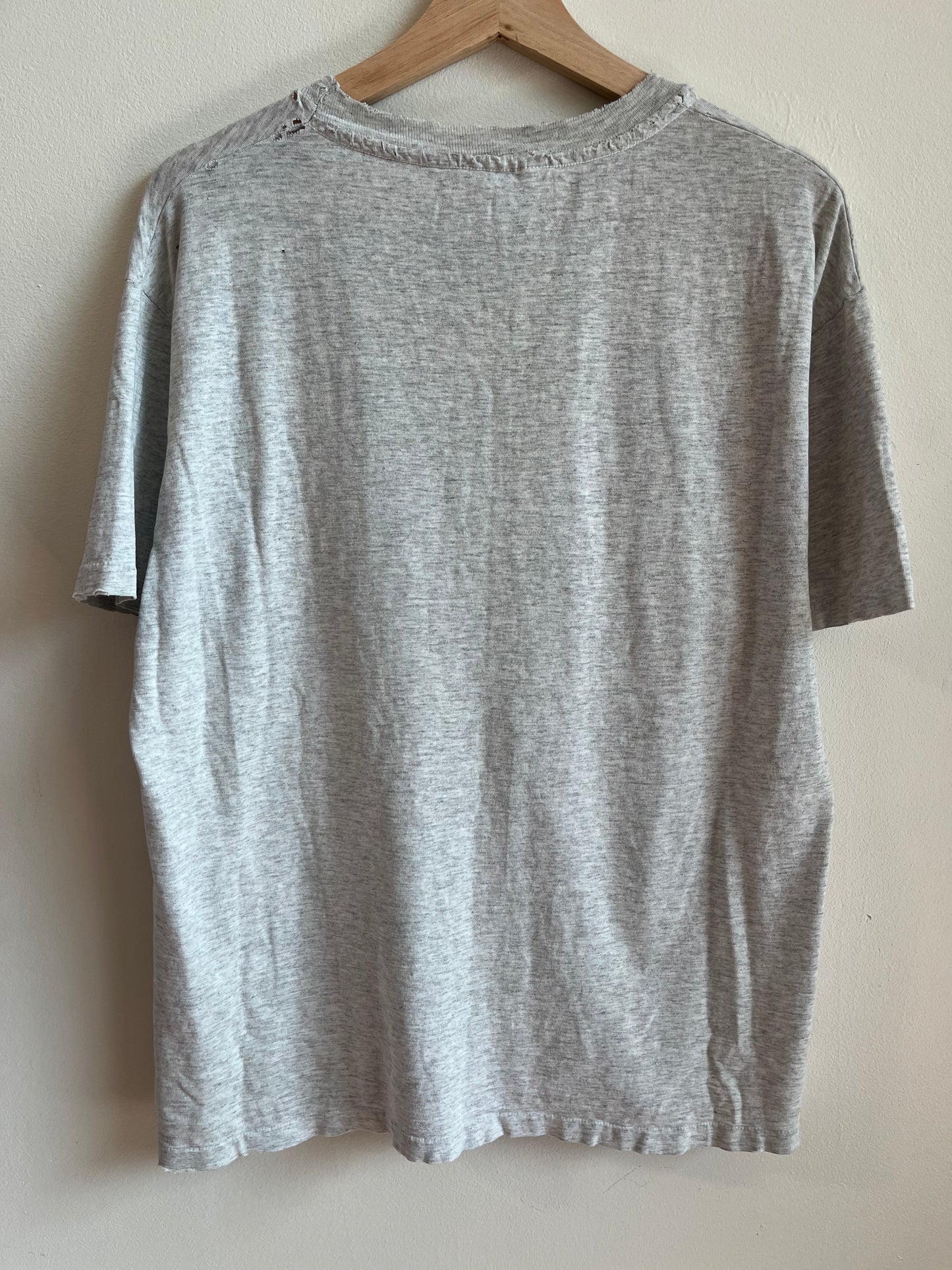 90s Carolina Panthers Thrashed Team Expansion Tee (L)