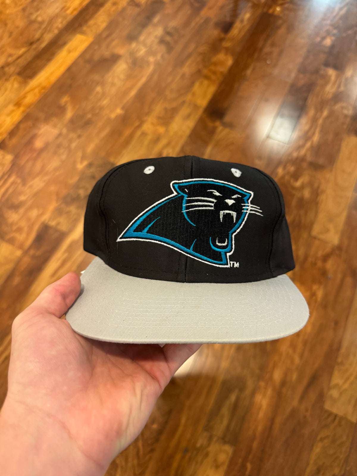 90s Carolina Panthers Big Logo Essential Hat (OS)