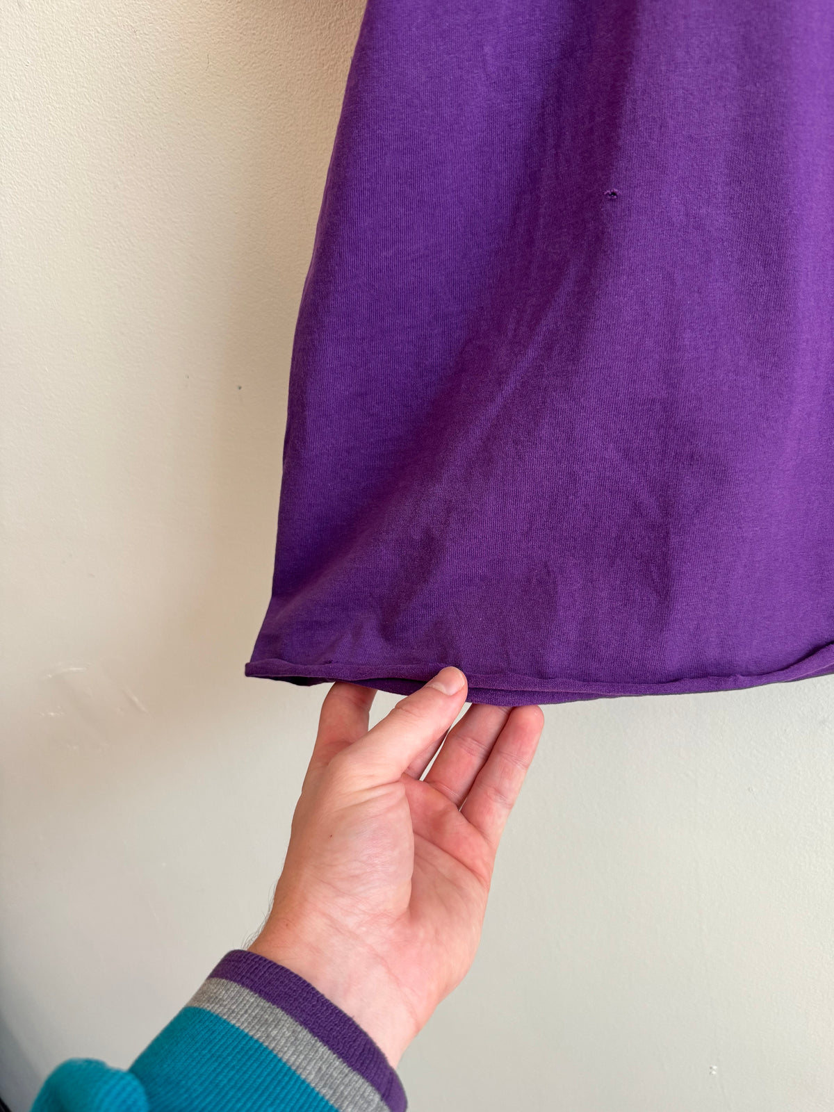 90s Charlotte Hornets Cropped Purple Pro Player Tee (XXL)