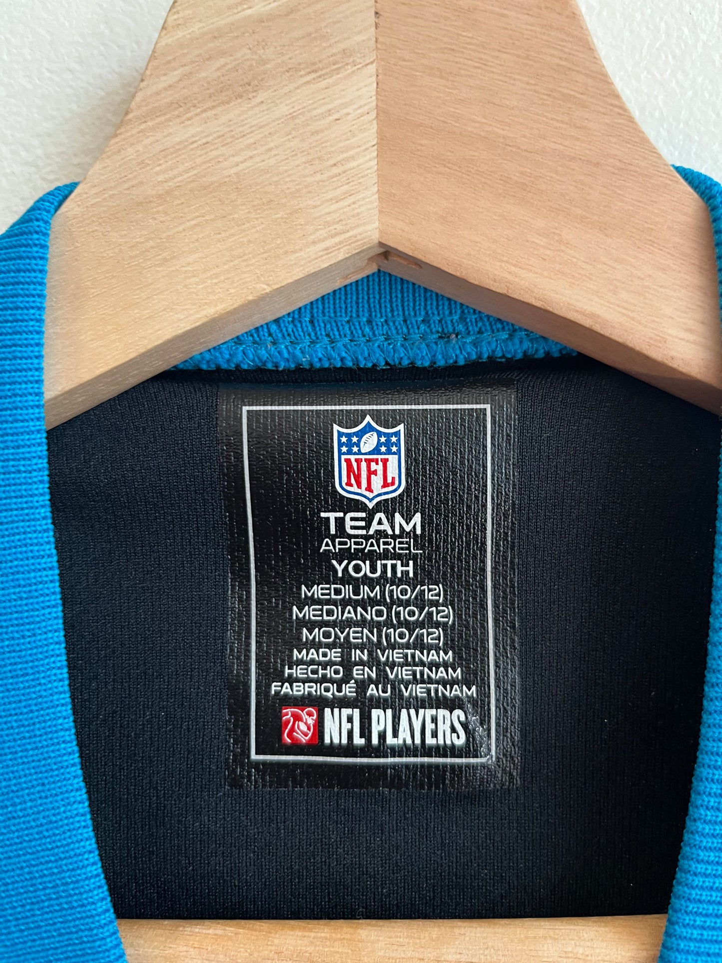 2010s Carolina Panthers Christian McCaffery Jersey NFL (Youth M)