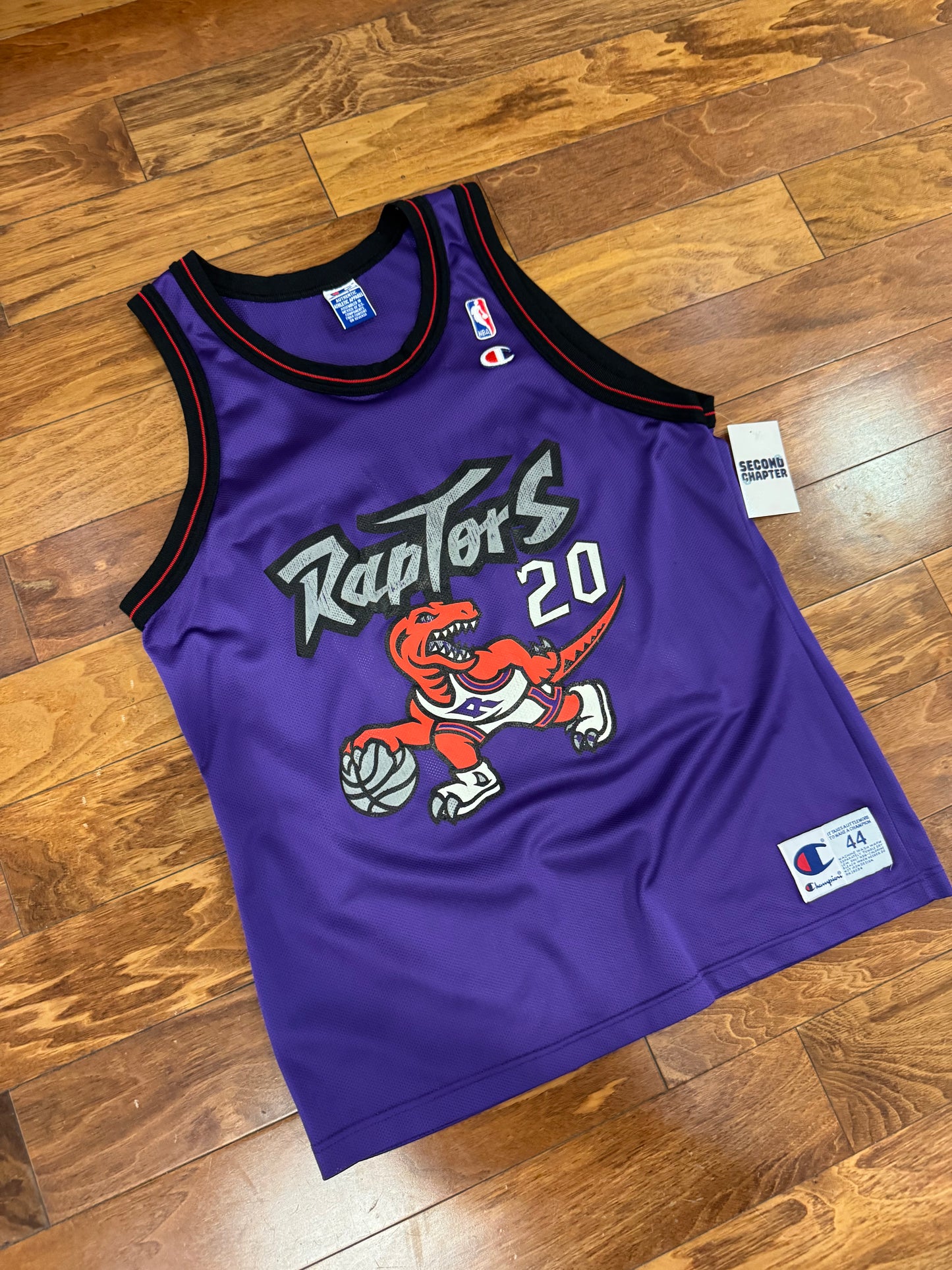 90s Toronto Raptors Damon Stoudamire #20 Champion NBA Jersey (L)