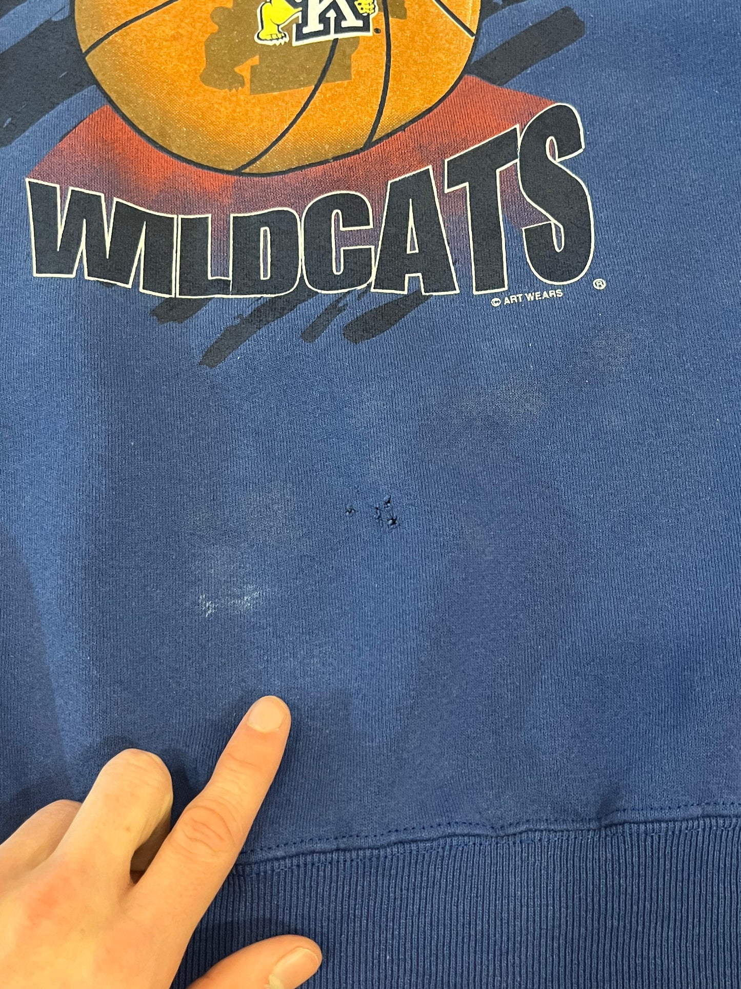 90s University Of Kentucky Wildcats Lee Sports Vintage Graphic Crewneck (XXL)