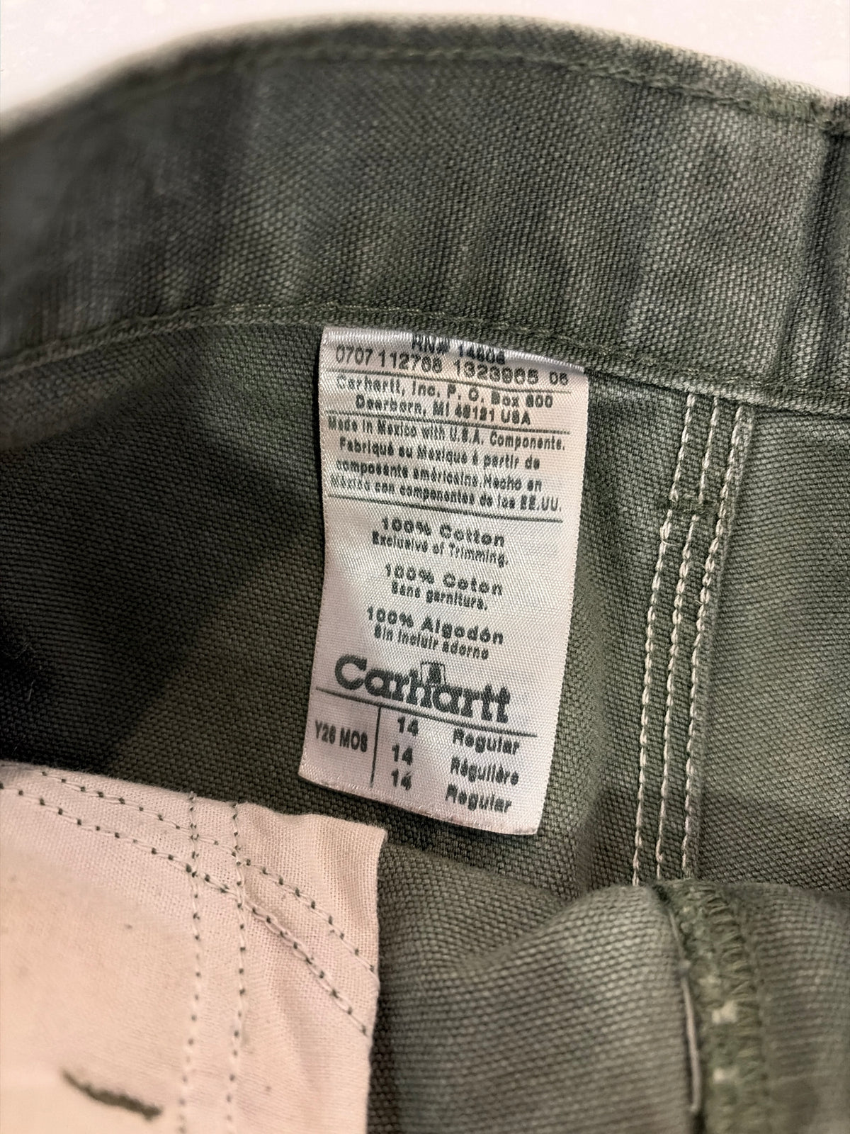 2007 Carhartt Moss Shorts (27)