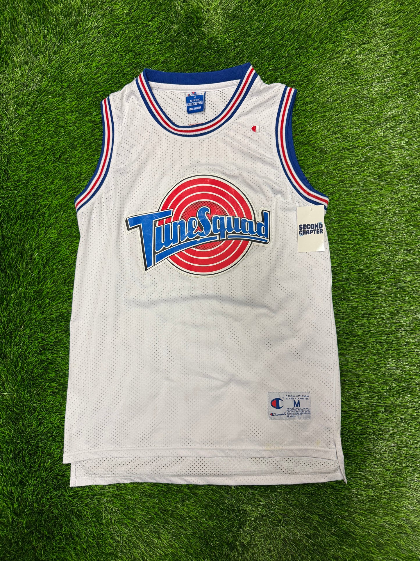 90s Tune Squad Space Jam Michael Jordan #23 Vintage Champion Basketball Jersey (M)