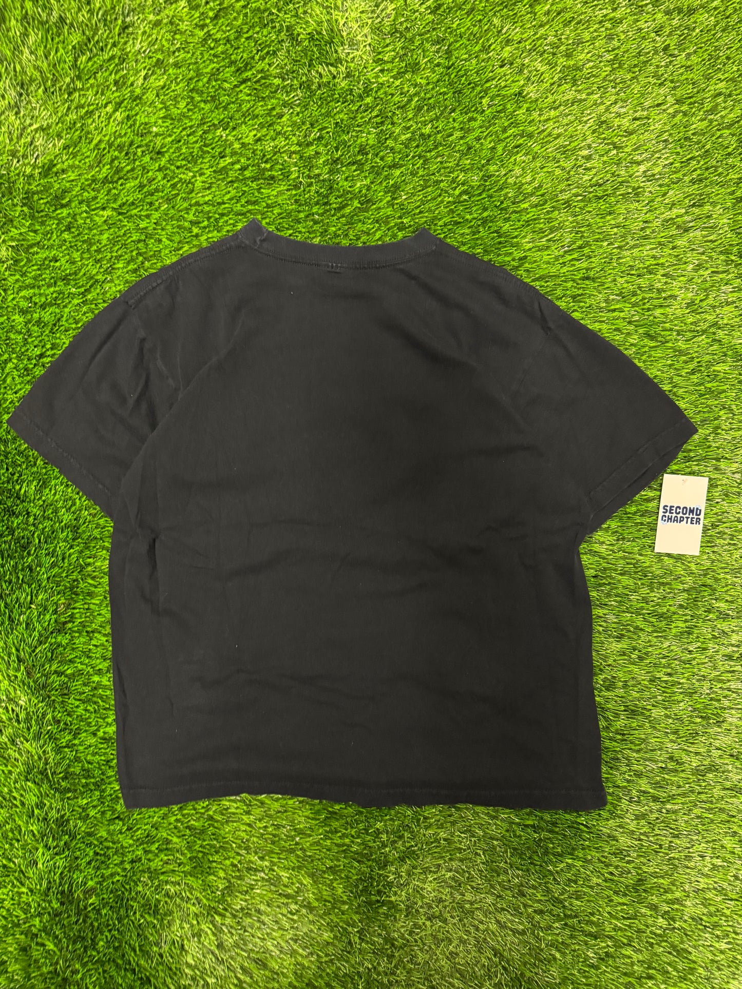 2001 Chicago White Sox Vintage MLB Graphic Tee (L)