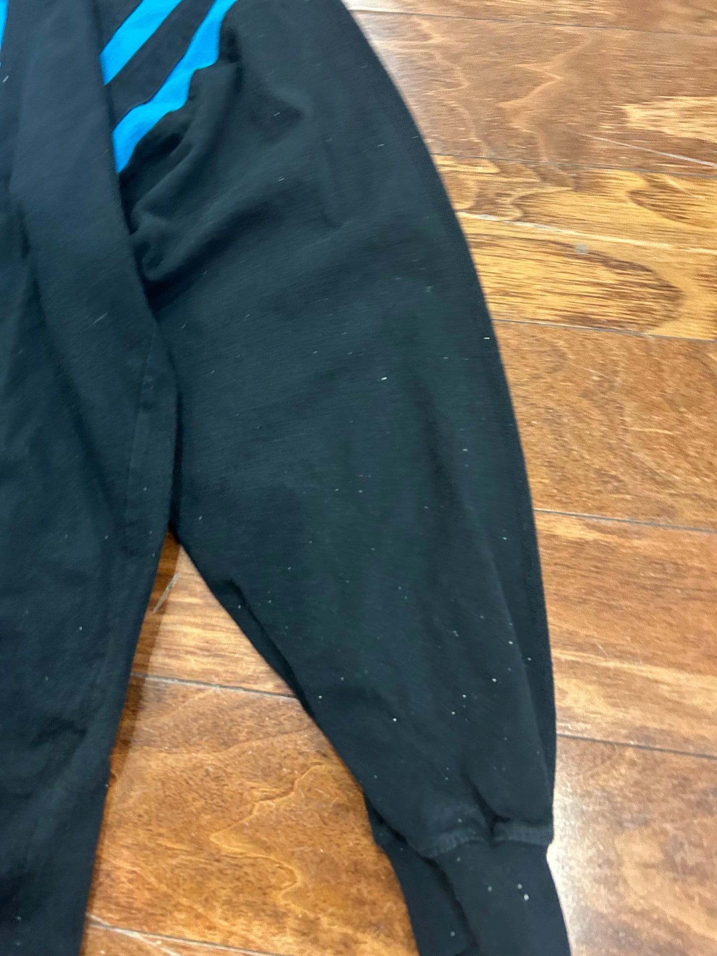 00s Carolina Panthers Striped Long Sleeve Shirt (L)