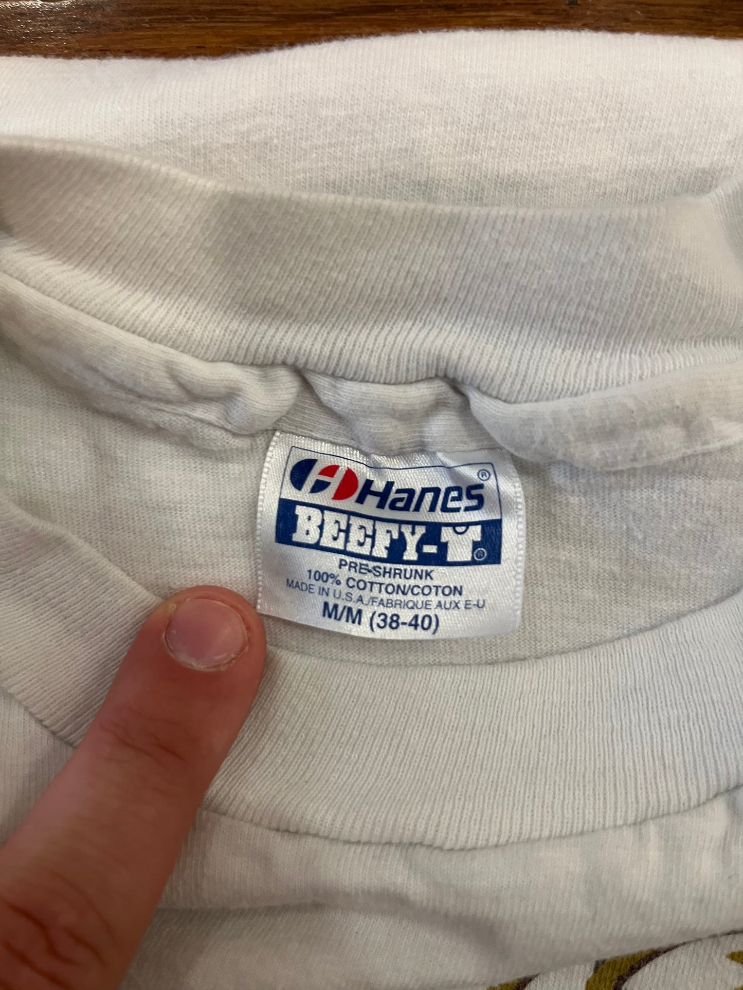 1991 American Wilderness Nature Tee (M)