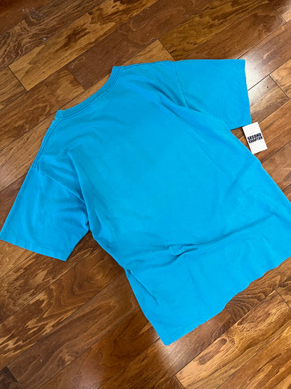 1995 Carolina Panthers Distressed Tee (XL)