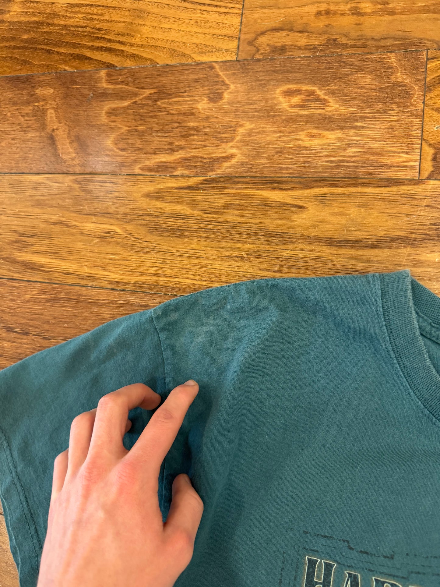 2010 Harley Davidson Dark Teal Wolf Tee (XL)