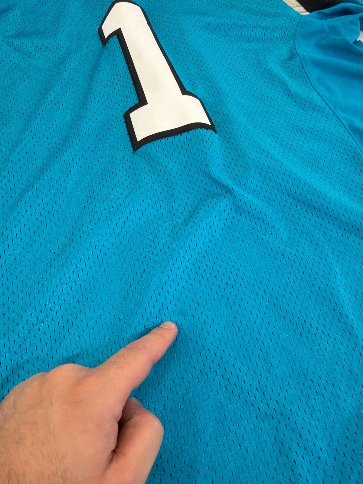 2017 Carolina Panthers Cam Newton Nike Stitched Blue Jersey (M)