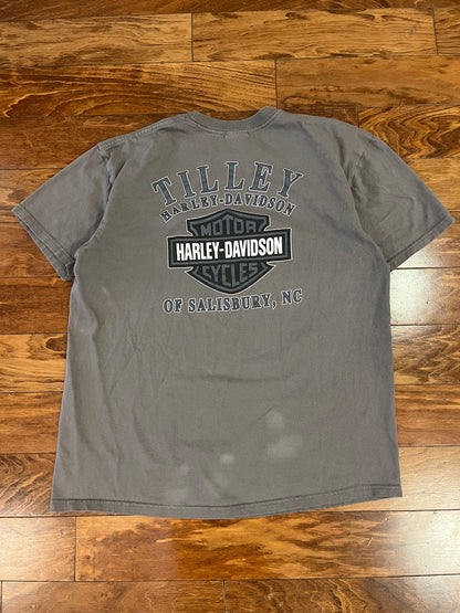 2010 Harley Davidson Charcoal Salisbury Tee (XL)