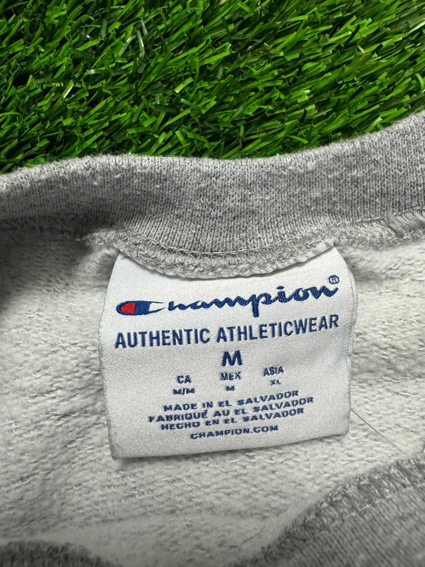 2010s Michigan University Champion Grey Spell Out Crewneck (M)