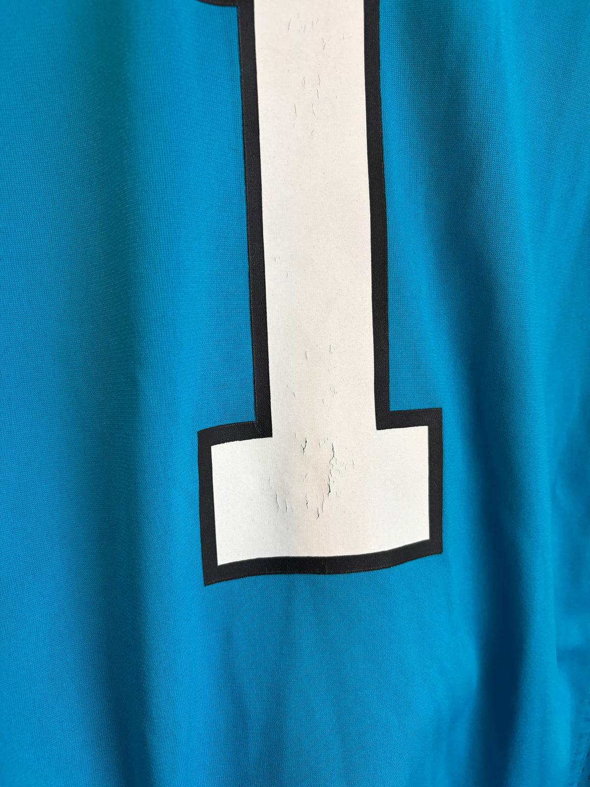 2010s Carolina Panthers Cam Newton Nike Blue Jersey (L)