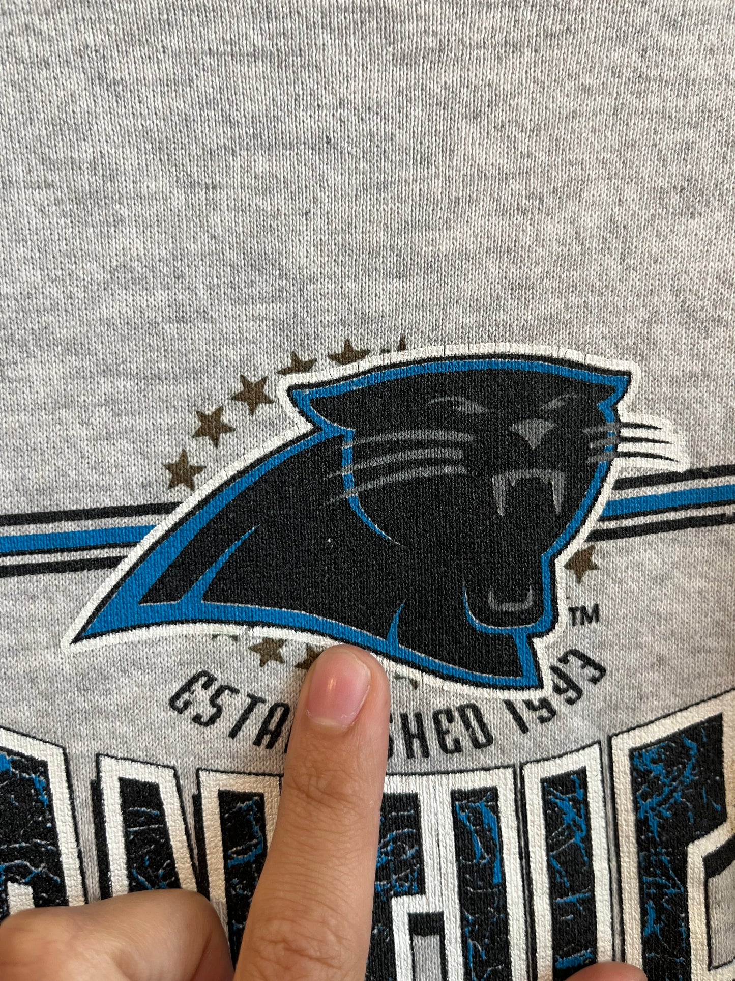 1993 Carolina Panthers Spell Out Spectator Crewneck (XL)