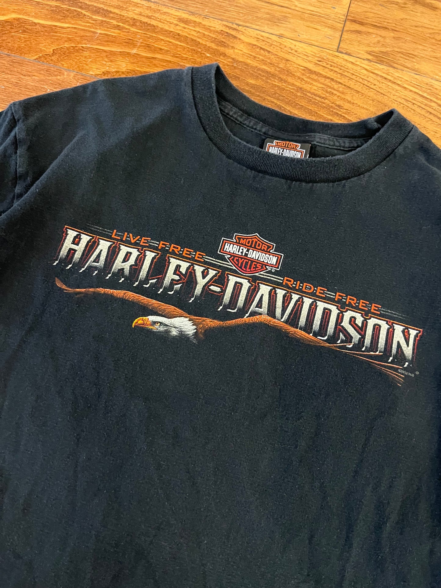 2010 Harley Davidson Florida USA Tee (L)