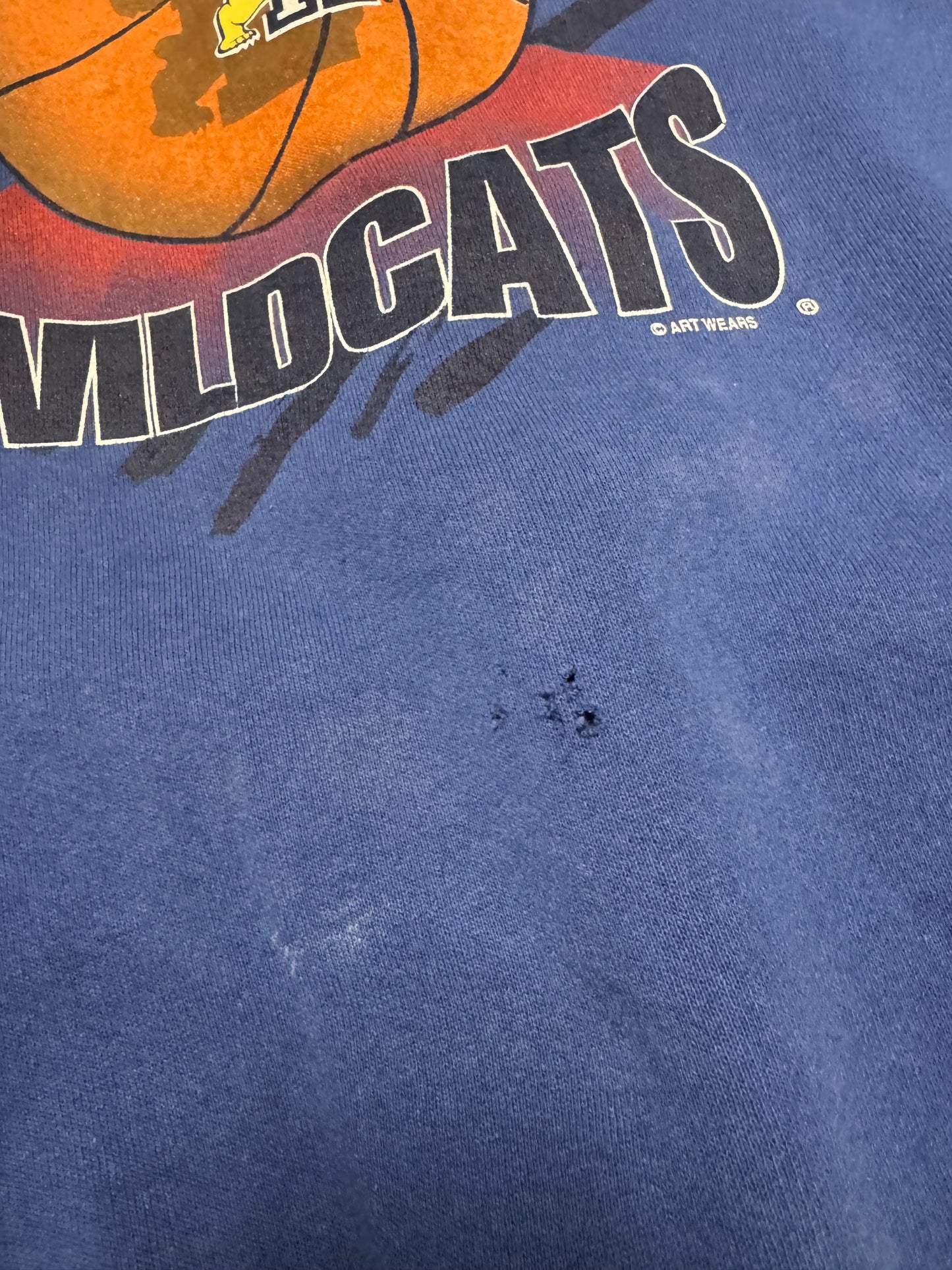90s University Of Kentucky Wildcats Lee Sports Vintage Graphic Crewneck (XXL)