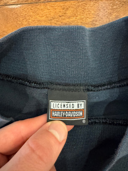 1993 Harley Davidson Taz "On A Roll" Faded Long Sleeve Tee (XL)