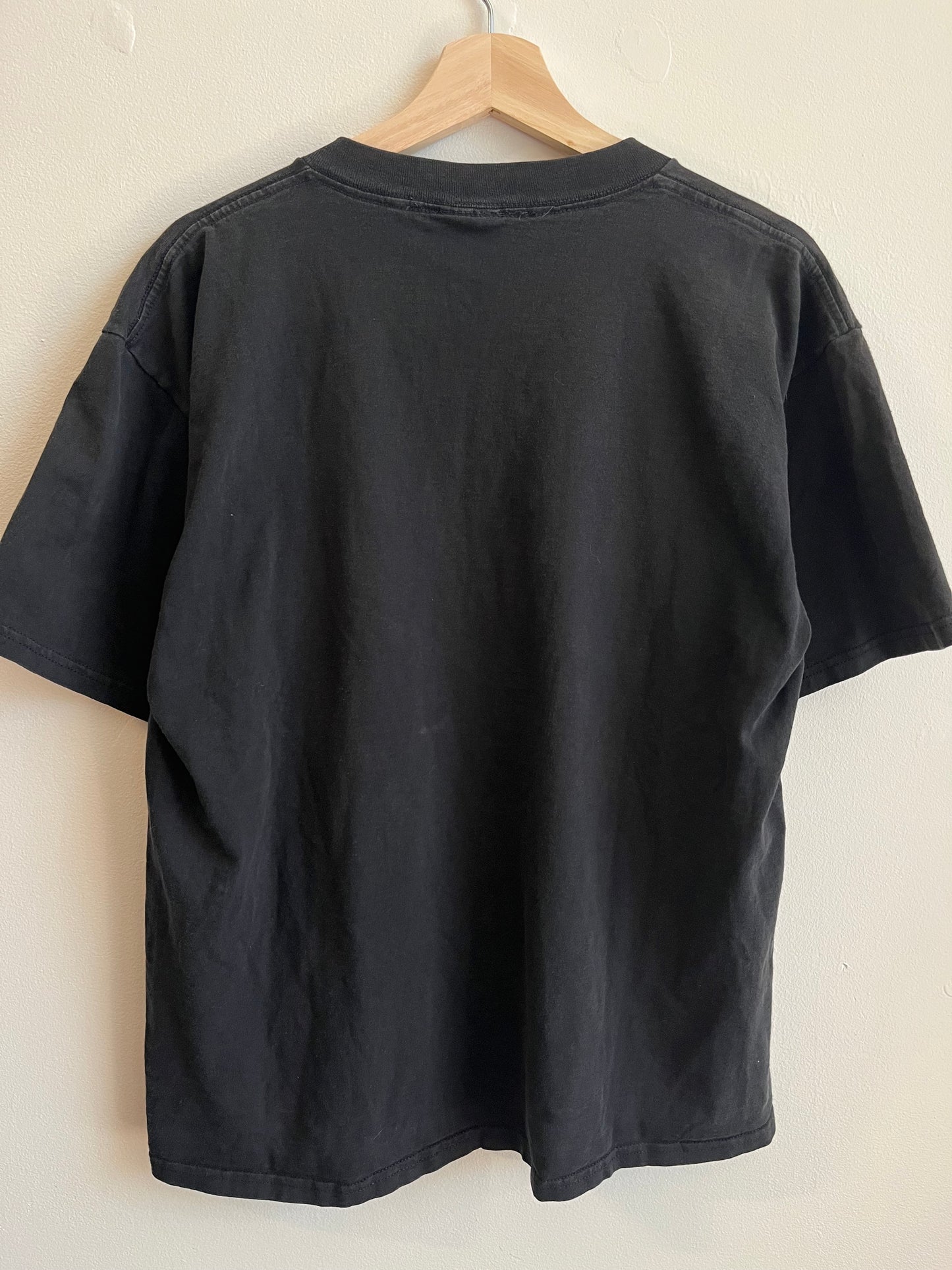 00s Carolina Panthers Faded Western Division Tee (XL)