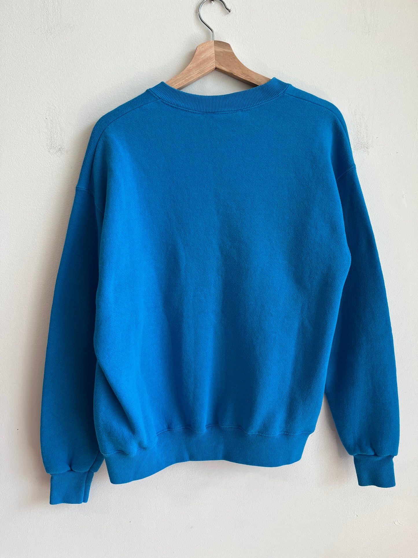 1995 Carolina Panthers Blue Lee Embroidered Crewneck (M)