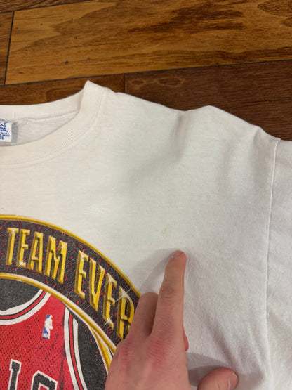 1997 Chicago Bulls Greatest Team Starter Graphic Tee (L)