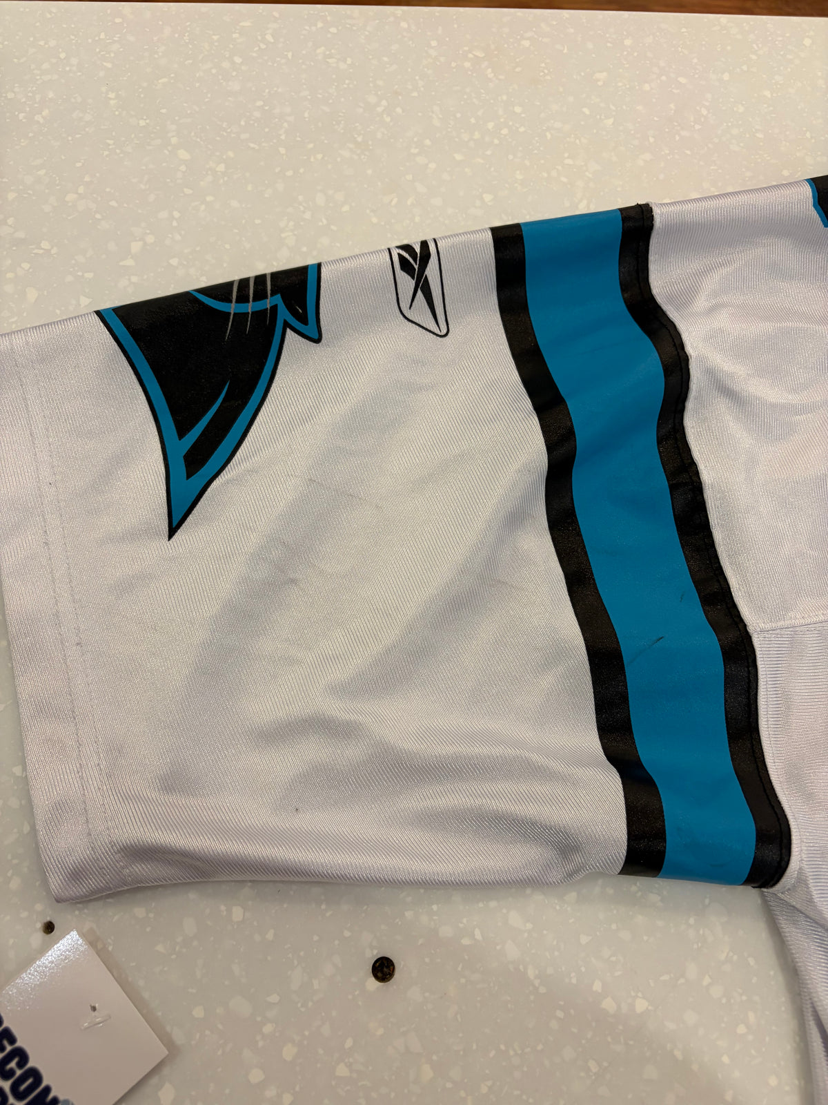 00s Carolina Panthers Julius Peppers Away Jersey (XL)