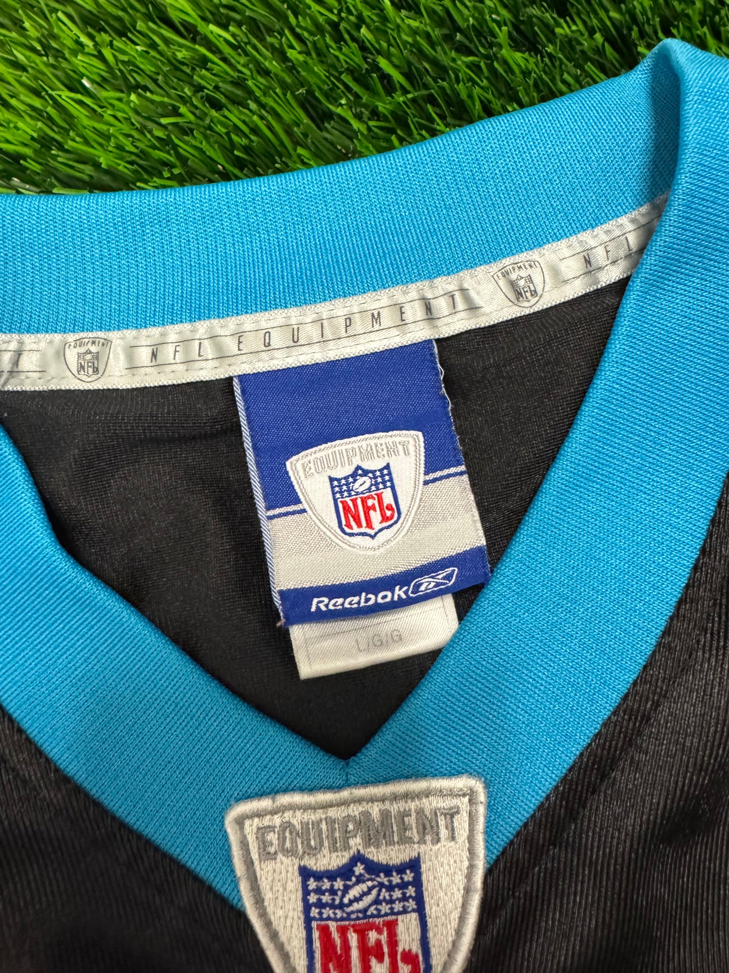 Carolina Panthers DeAngelo Williams #34 Jersey (L)