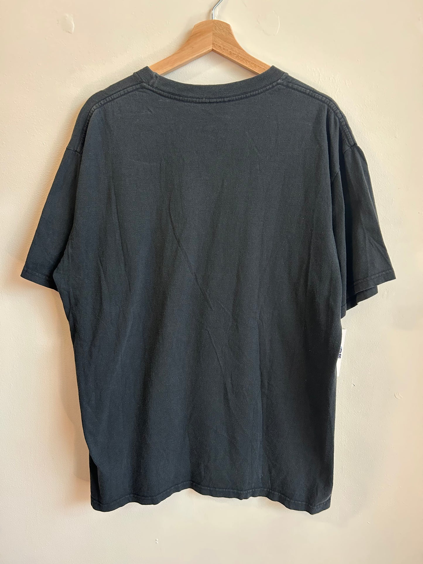 90s Carolina Panthers Embroidered Touchdown Tee (L)
