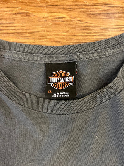 2009 Harley Davidson Charcoal Tee (XL)