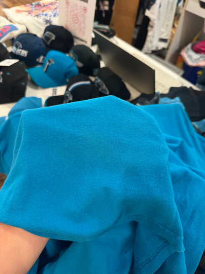 2010s Carolina Panthers Football Blue Tee (XL)