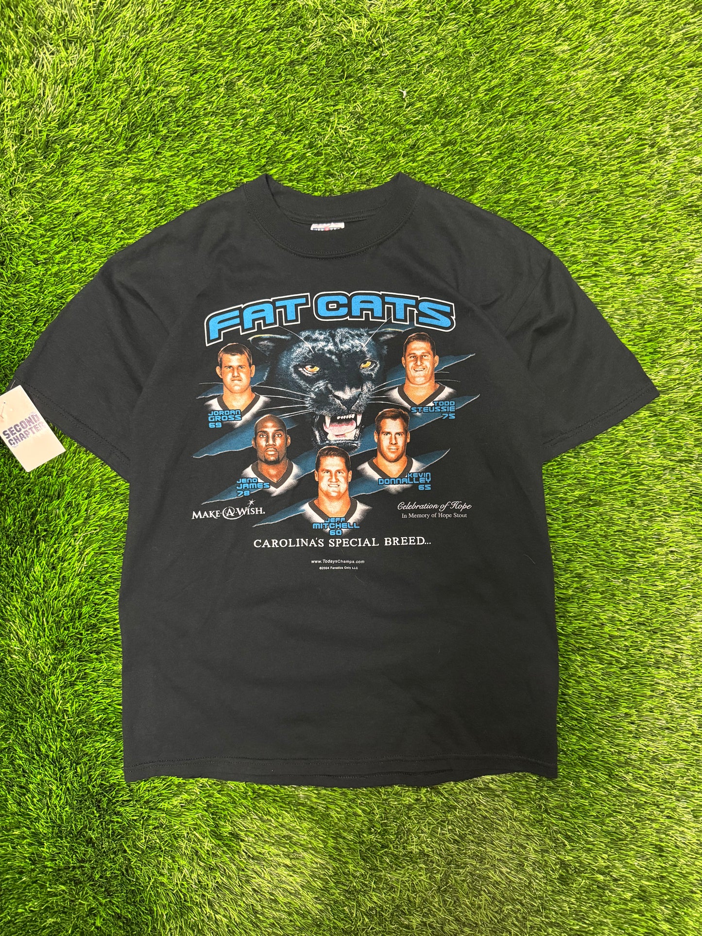 2004 Carolina Panthers Fat Cats Graphic Tee (M)