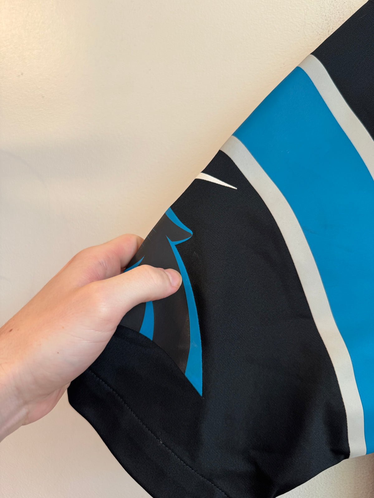 2010s Carolina Panthers Cam Newton Nike Home Jersey (M)
